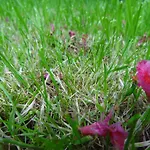 Hotel- Restaurant Merveilles88 Rupt-sur-Moselle